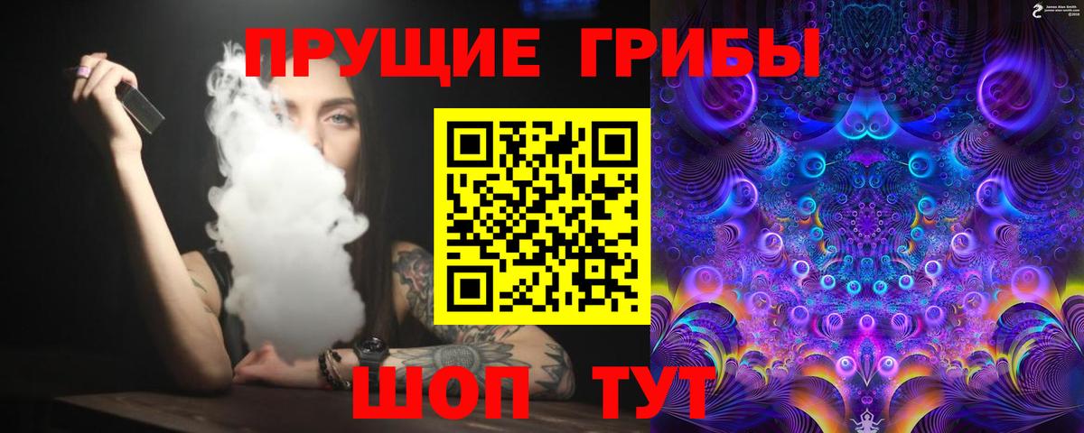 Псилоцибиновые грибы Psilocybe Хасавюрт